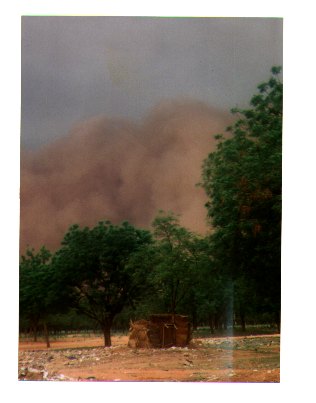 sandstorm