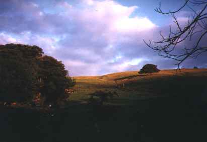 The farmhouse (front)